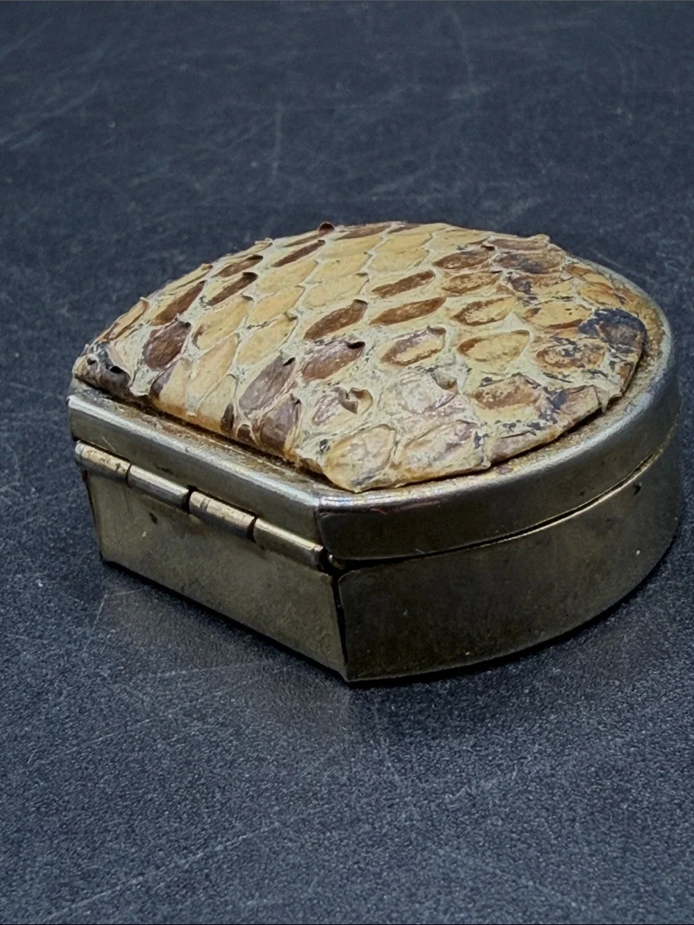 Vintage snakeskin reptile